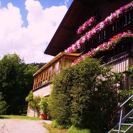 Alpenblick Bed & Breakfast 维皮泰诺 外观 照片