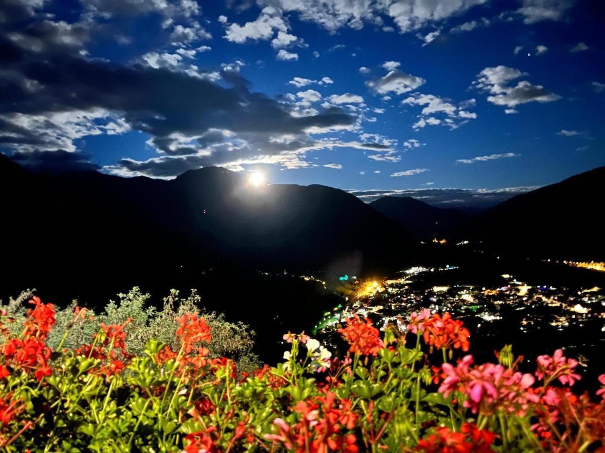 Alpenblick Bed & Breakfast 维皮泰诺 外观 照片
