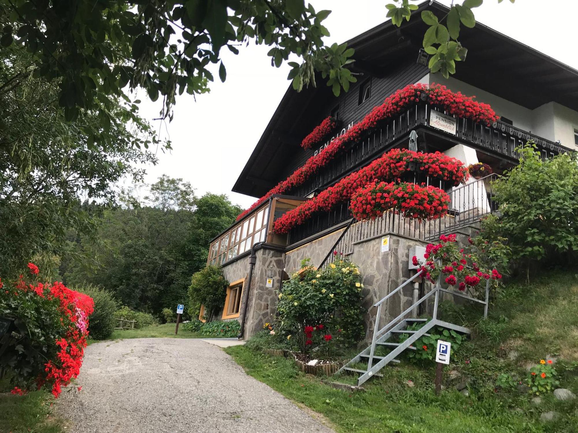 Alpenblick Bed & Breakfast 维皮泰诺 外观 照片