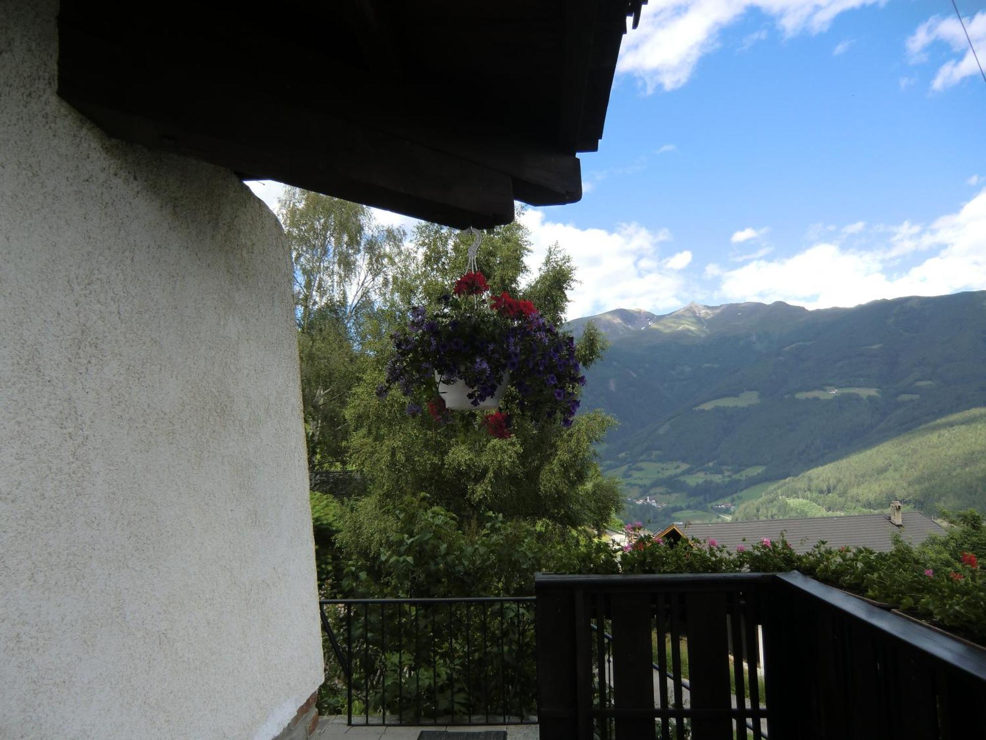Alpenblick Bed & Breakfast 维皮泰诺 外观 照片