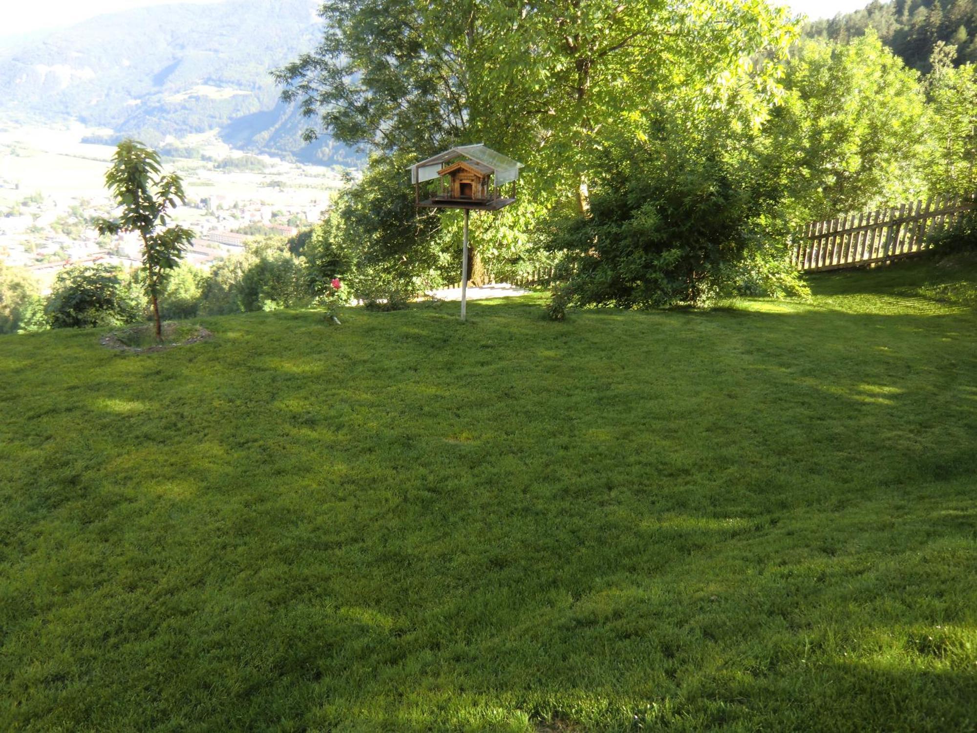 Alpenblick Bed & Breakfast 维皮泰诺 外观 照片