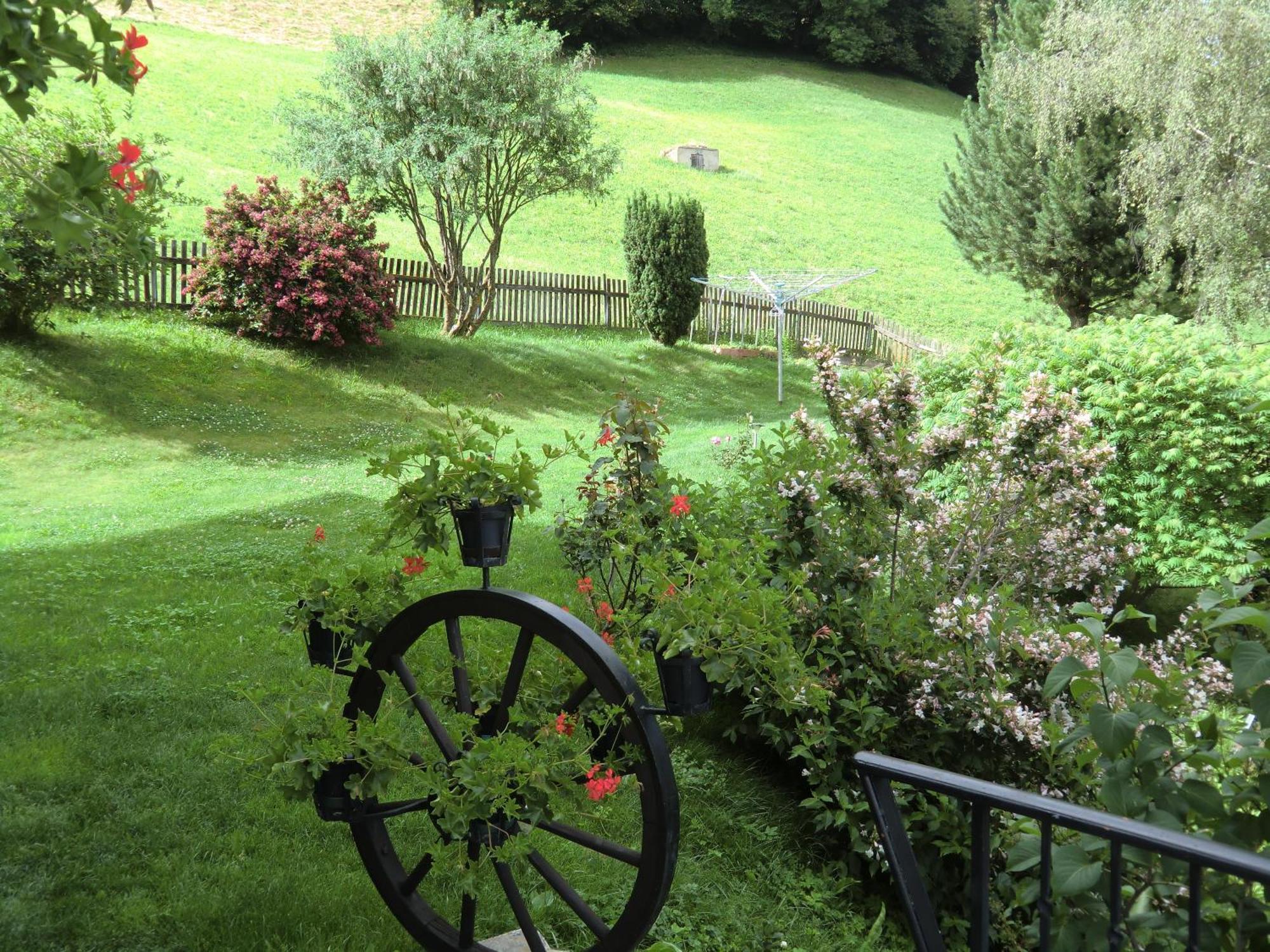 Alpenblick Bed & Breakfast 维皮泰诺 外观 照片