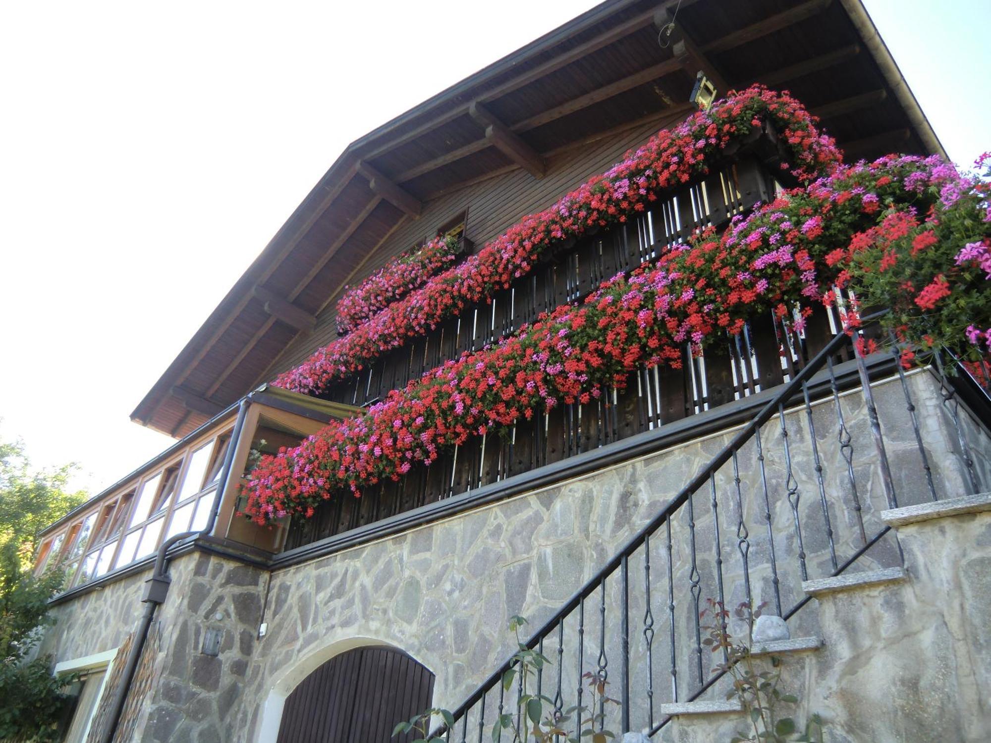 Alpenblick Bed & Breakfast 维皮泰诺 外观 照片