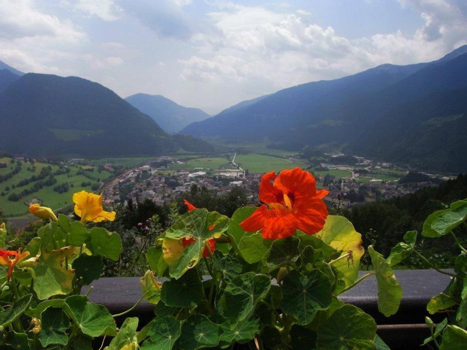 Alpenblick Bed & Breakfast 维皮泰诺 外观 照片