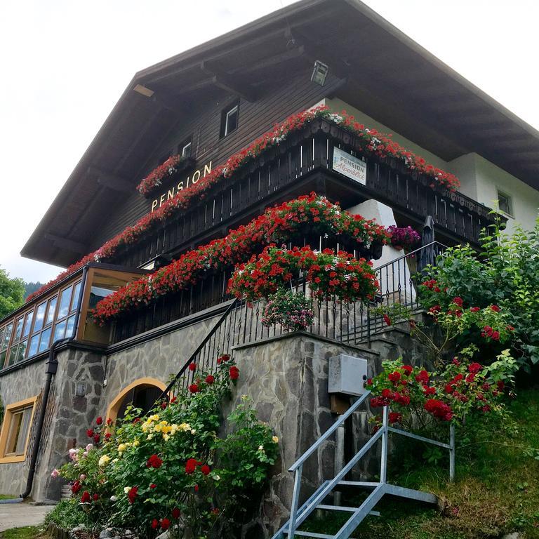 Alpenblick Bed & Breakfast 维皮泰诺 外观 照片