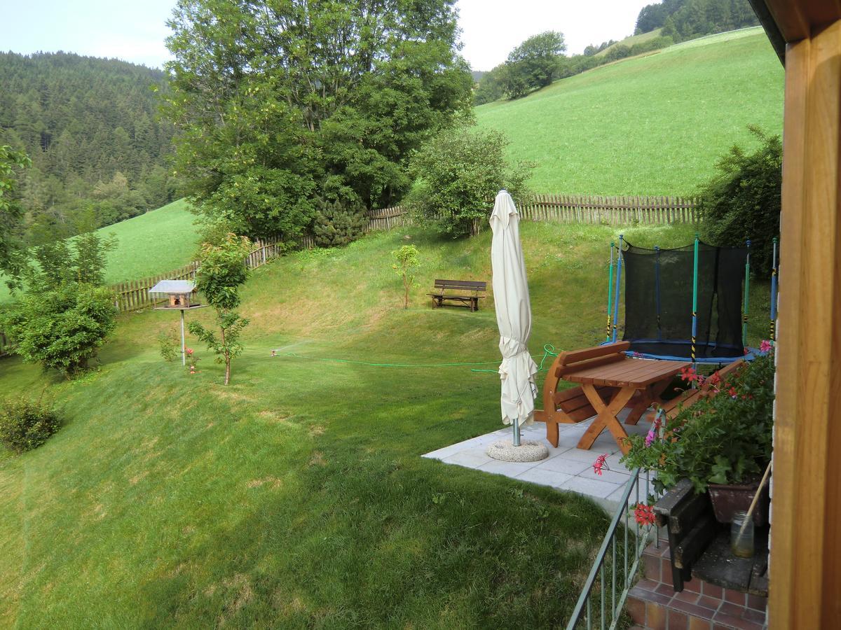 Alpenblick Bed & Breakfast 维皮泰诺 外观 照片
